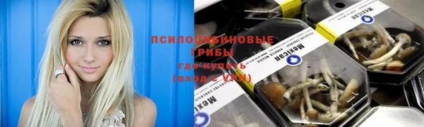синтетический гашиш Бородино