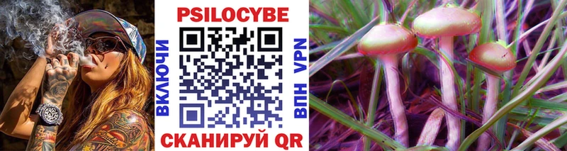 Псилоцибиновые грибы Psilocybe  Старый Оскол 
